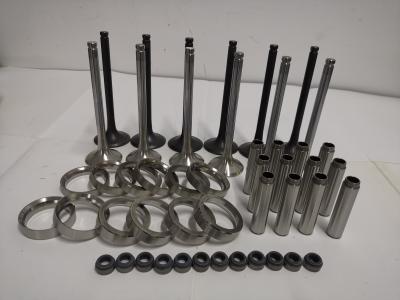Engine Cylinder Intake Valve / Exhaust Valve Truck Replacement Parts