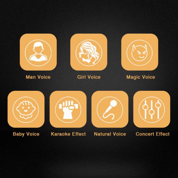 Sound Voice Changer Magic Box Earphone Headphone for Live Show Youtube Facebook Ins Whatsapp We Chat Net Celebrity