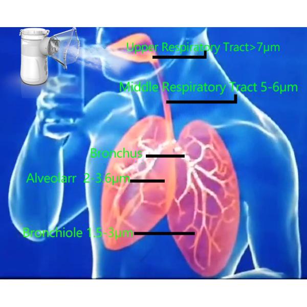 Дети кашляют батарея USB DC холодного портативного домашнего Nebulizer 0.35mL/Min съемная