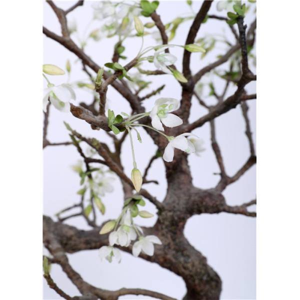 Хигх-денситы крытое дерево бонзаев, анти- УЛЬТРАФИОЛЕТОВОЕ публичное место бонзаев Силк дерева высоко имитационное