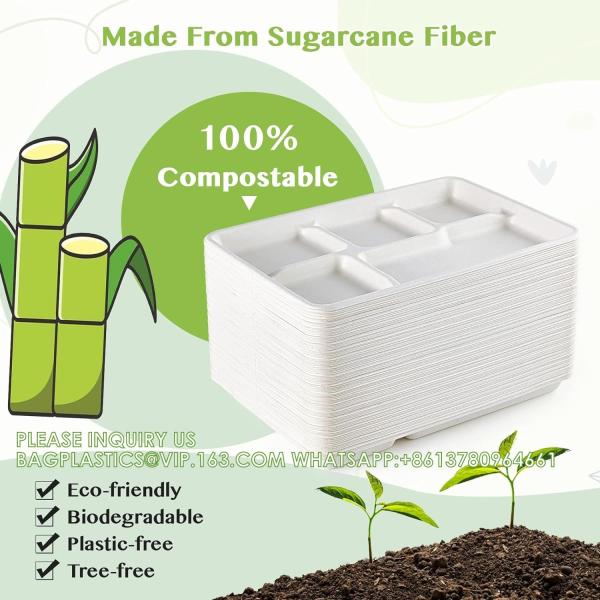 5 Compartment Plates, 125 Pack Disposable Paper Plates, Biodegradable Sugarcane Plates, Eco-Friendly School