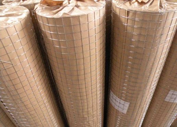 Anti Corrosive Stainless Steel Welded Wire Mesh Panels , Galvanised Welded Mesh Rolls