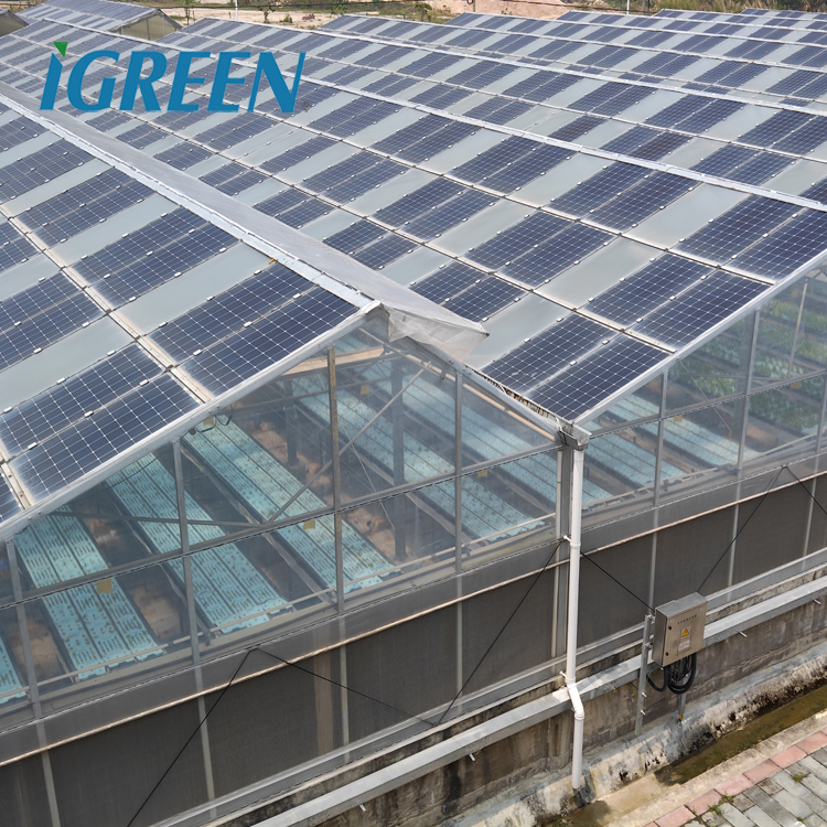 Теплица из поликарбоната Solar Gray для системы аквапоники