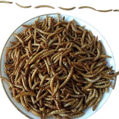 Dry And Cool Place Storage for Dried Mealworm with Natural Flavor