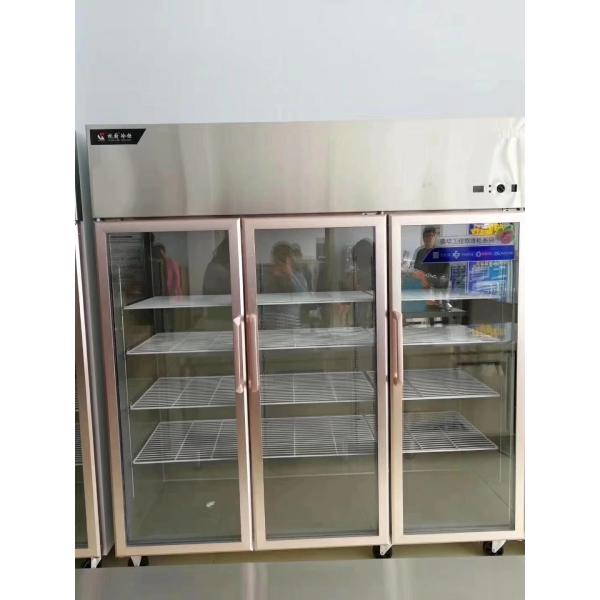 Six Door Glass Door Display Freezer Automatic Defrosting And Defogging