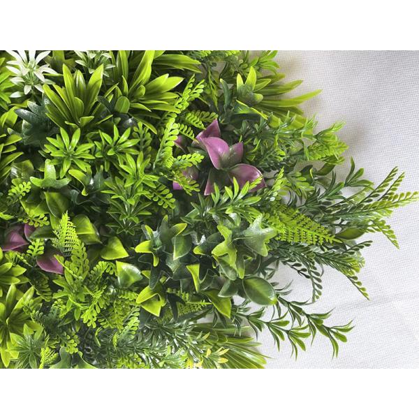 Сад листвы Boxwood ограничивает искусственные зеленые стены