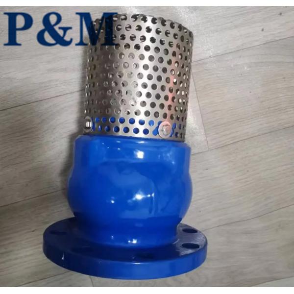 Ductile iron ANSI flanged foot valve