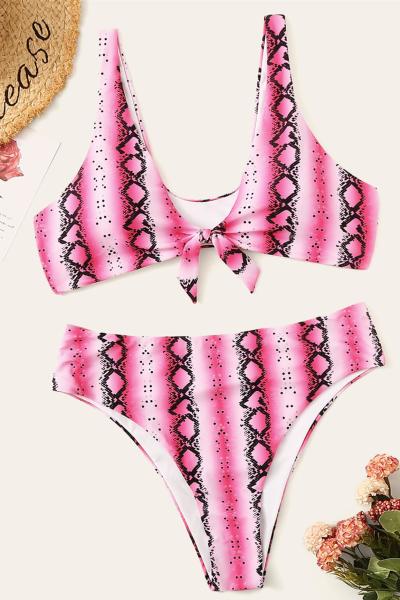 2019 New Plus SizeTwo piece  Swimsuit Women Push up