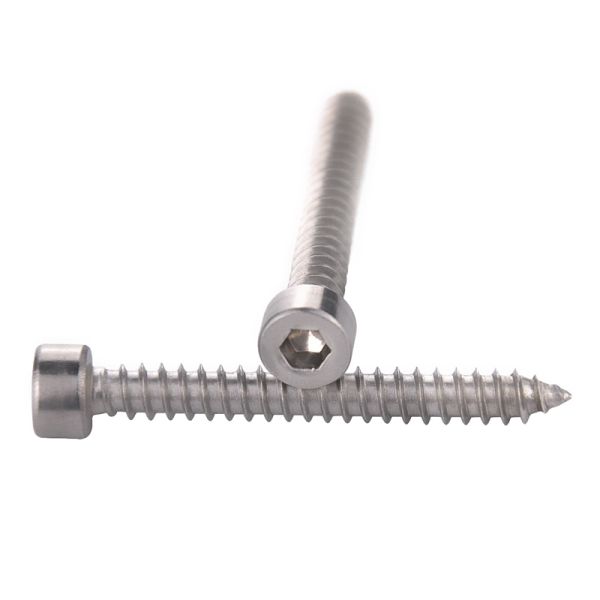 Cylindrical Head Hex Slot Self tapping screws