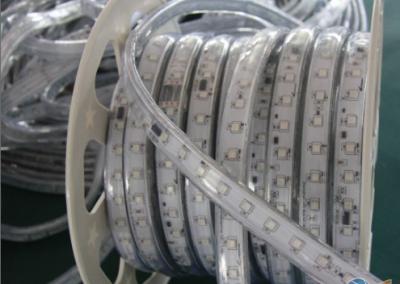 24V digital dream color rgb led strip 50m/roll