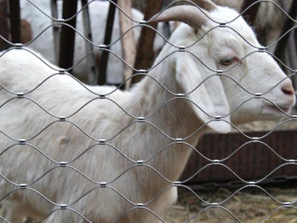 304 316L Stainless Steel Aviary Mesh Wire Panels 7×19 For Animal Zoo Protection