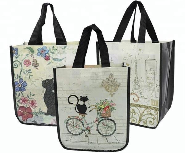 Durable PP Non Woven Bags Silk Screen Printing Foldable With High Bearing Weight 12kg