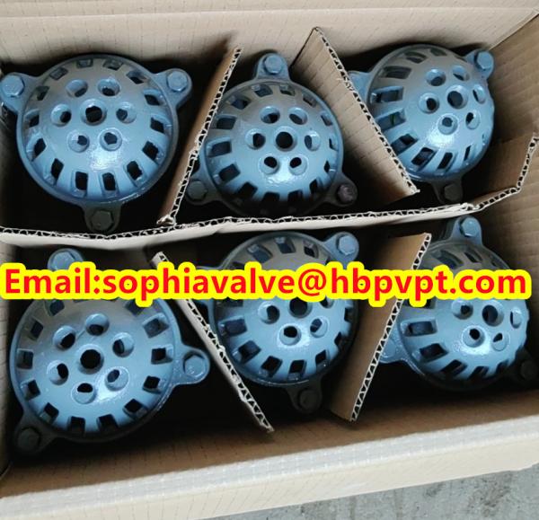 BRITISH STANDARD BS21 cast iron threaded foot valve contact Sophie