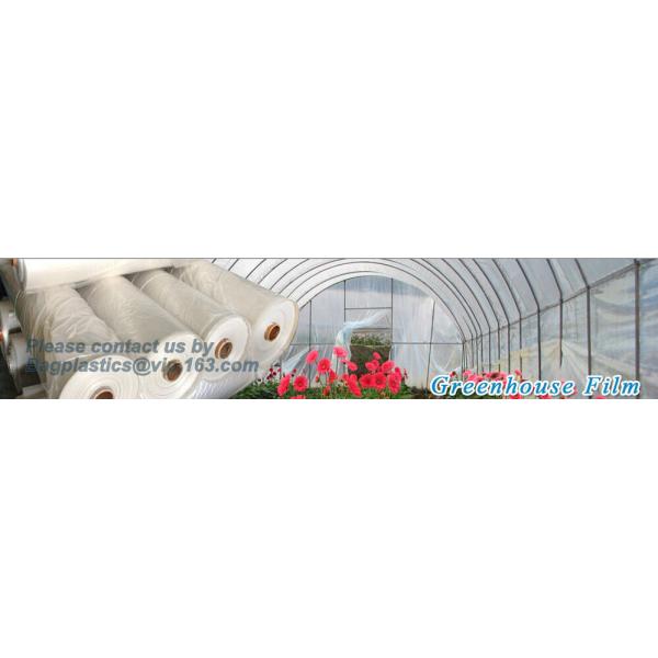 Agricultural Mulching Film Used for Fruit, Flower and Vegetable