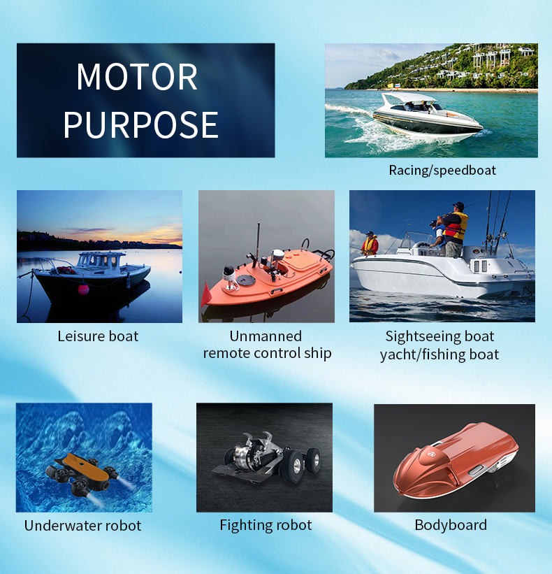 Factory & Customizable & Balanced  IP68 Underwater 70110 Brushless DC Drive Amphibious Fully Waterproof Motor 70KV/120KV 2000W