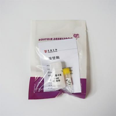 150ul 300ul Lyticase Enzyme N9032 Colourless Solution