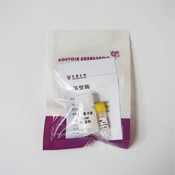 150ul 300ul Lyticase Enzyme N9032 Colourless Solution