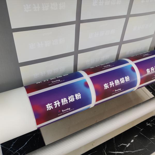 Фильм переноса ЛЮБИМЦА передачи тепла DTF для изготовленного на заказ печатания футболки