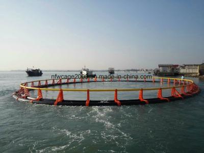HDPE Aquaculture Fish Farming Cage Anti Wind Diameter 10m - 50m