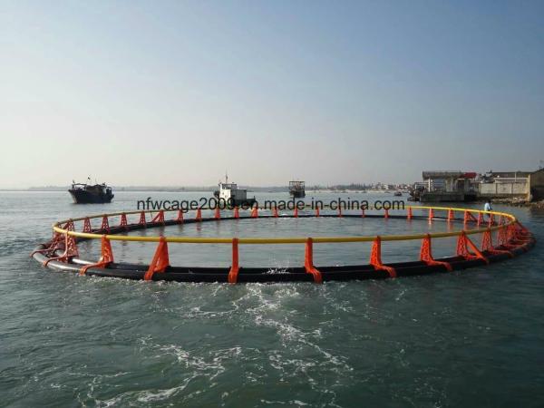 HDPE Aquaculture Fish Farming Cage Anti Wind Diameter 10m - 50m