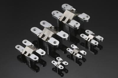 Interior Adjustable Mortise Mount Invisible Hinge Waterproof Stainless Steel