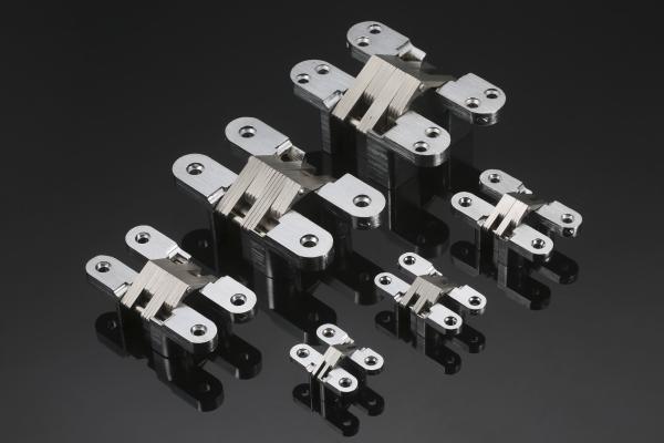 Interior Adjustable Mortise Mount Invisible Hinge Waterproof Stainless Steel