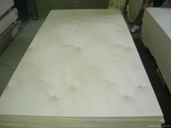 Birch F/B Poplar Plywood Top Grade
