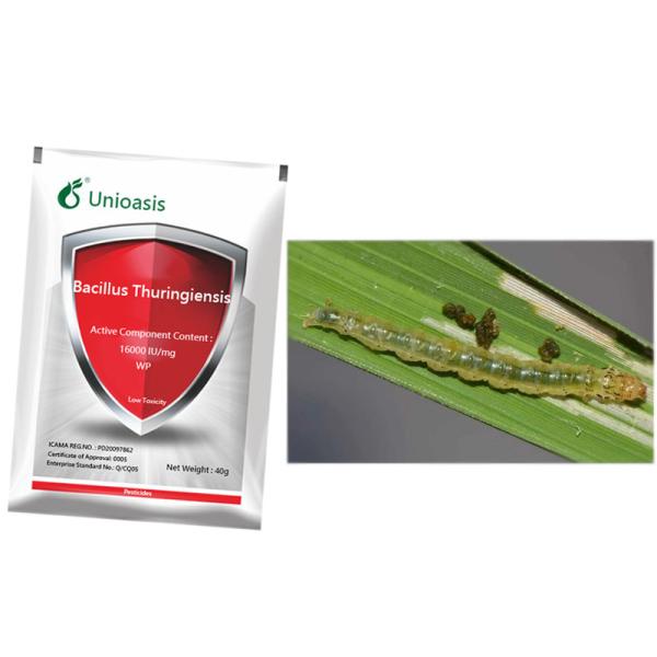 Микробный Bt WP Bacillus Thuringiensis Кукуруза Пестициды для сельскохозяйственных культур