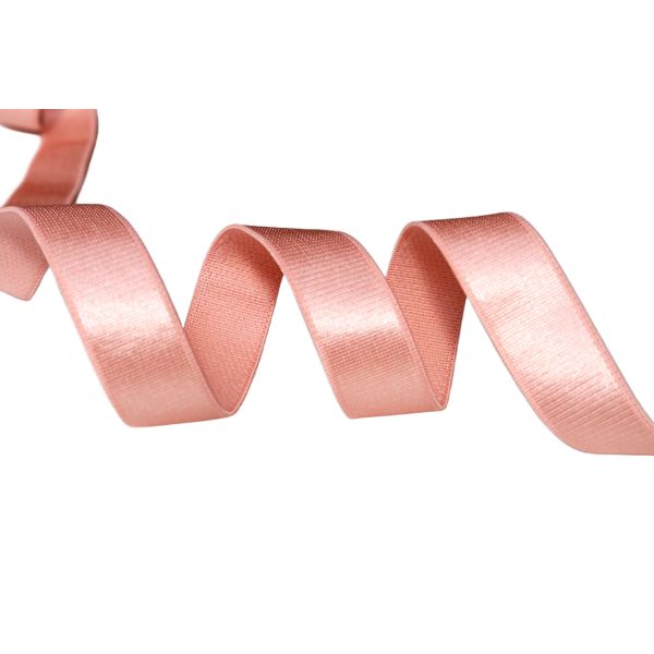 DANSKY High Quality Nylon Shiny Stain Bra Elastic Webbing Strap Elastic Band for Women Bra