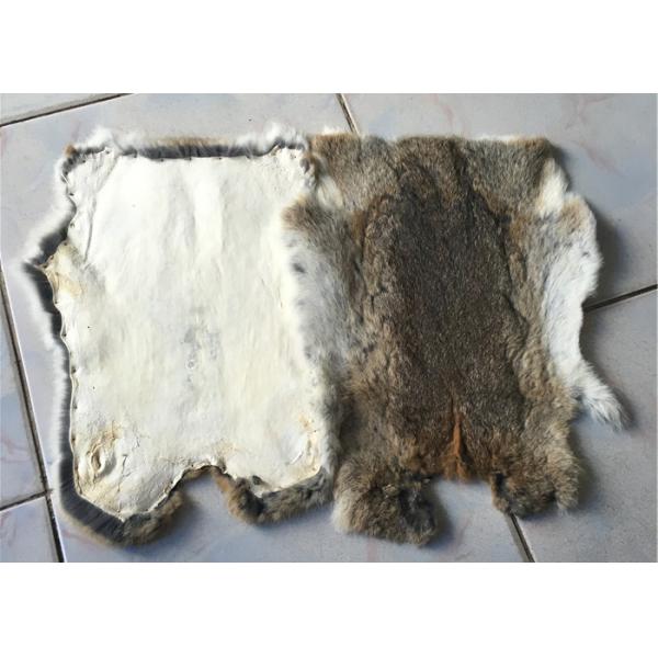 Piel bronceada real del conejo del SGS Rex con diseño del invierno de la longitud del pelo de los 2-2.8cm