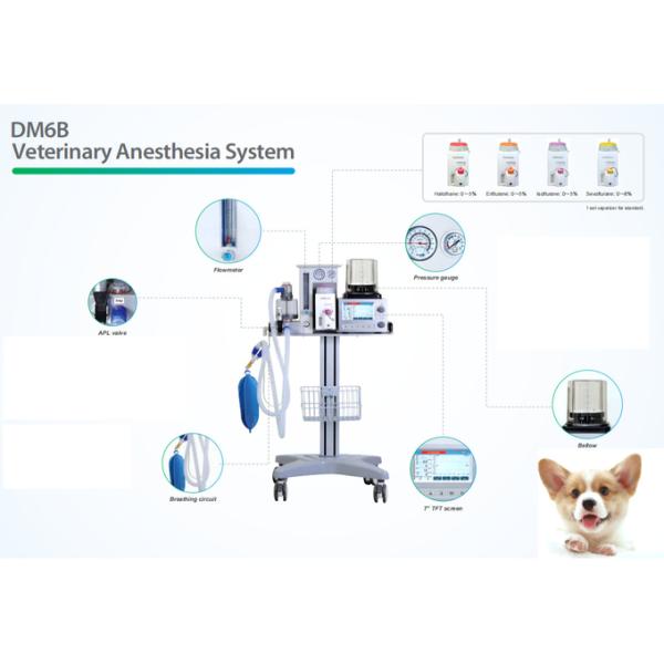 Система 0-60L/Min выносителя наркотизации рицинусов DM6B 4 ветеринарная