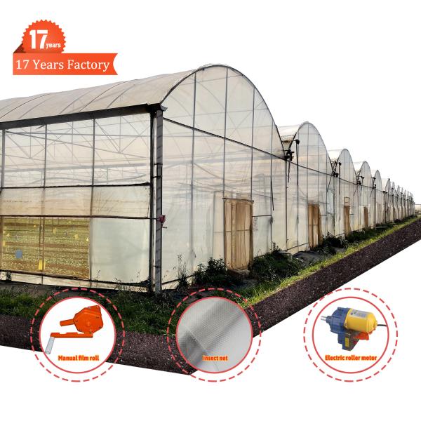 Large PE Film Greenhouse 50m Length 7-10m Span Width