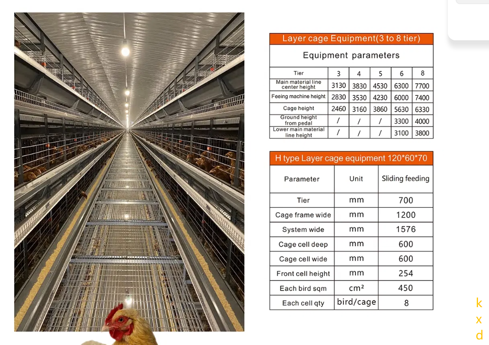 Hot-dip galvanized H-type layer cage with high egg laying rate and good ventilation for large scale poultry breeding