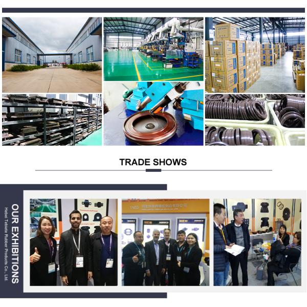 Auto Parts Oil Pan Gasket  VG1246150016 SINO Truck WD12 Oil Pan Seal