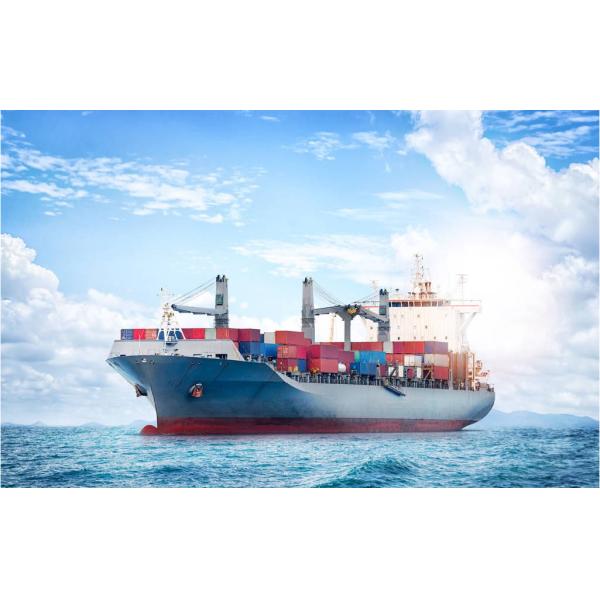 Door To Door Sea Freight From China Marine FCL LCL Transportation