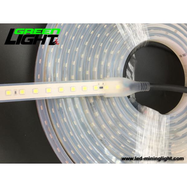 Света приведенные прокладки 12V IP68 6500K SMD5050 водоустойчивые RGB ATEX