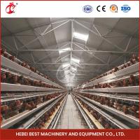Un type équipement complètement automatique de cage de poulet pour la ferme avicole Sandy de 20 000 capacités
