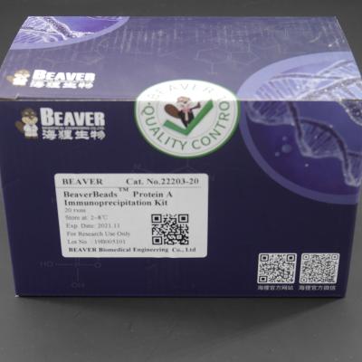 10 mg / mL Protein A/G Magnetic Beads For Immunoprecipitation 20 Reactions