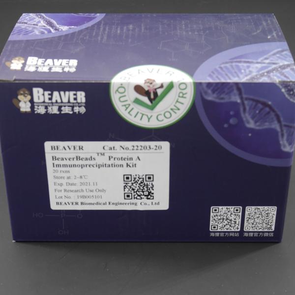 10 mg/mL шариков протеина A/G магнитных на иммунопреципитация 20 реакций