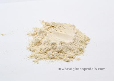 Gluten em pó de trigo vital seco de qualidade alimentar Gluten em pó puro