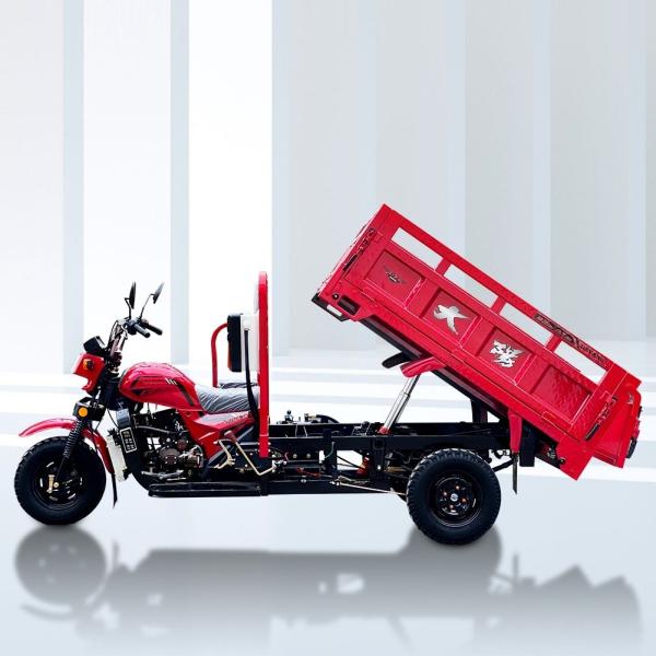 Maximum Speed 50-70Km/h High Cargo Side Adult Recumbent Tricycle 200cc Tipper Motorized
