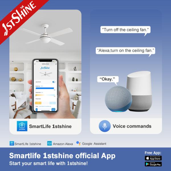 Modern White Ceiling Fan With Lamp Light 3-Speed AC Motor