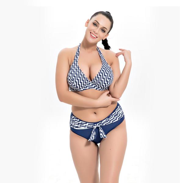 2019 New Plus Size Two piece Swimsuit Strip Print Swimsuit Women Push up 1957