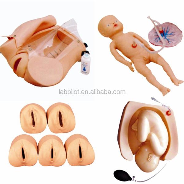 Childbirth Demonstration Simulator for Medical Science Training and Skill Development
