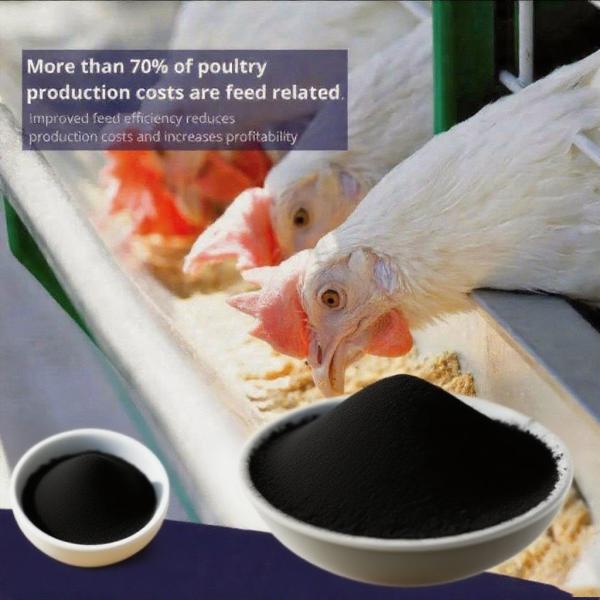 Chicken Feed Addtitives Sodium Humic Acid For Animal Feed Sodium Humate