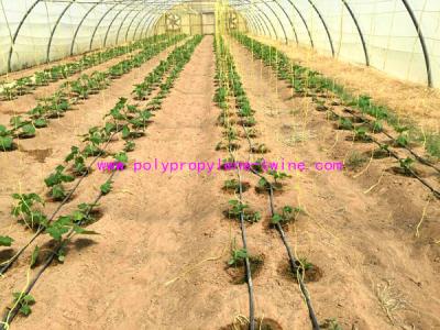 tomate agrícola estável de 1g/m que amarra diferente alto da tenacidade da guita colorido