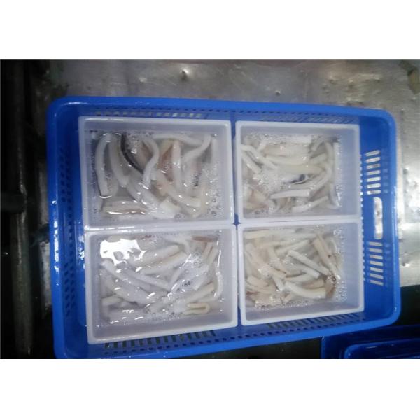 Свежие морепродукты оптовое 20g 30g Перу обнажают замороженного гигантского кальмара