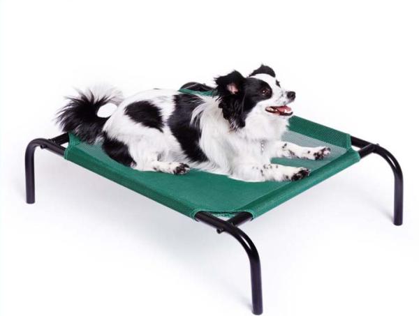 100x80x20cm Durable Travel Outdoor Pet Bed Dog Modern, Scratch Resistant Pet Dog Bed Raised Frame ,Dog Raised Bed Pet