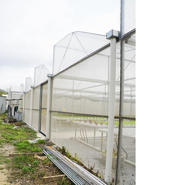 Systèmes de serre hydroponiques résistants à la pluie avec support galvanisé