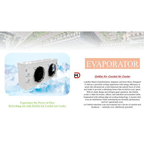 Galvanized Steel Casing Material Evaporation Air Cooler for Low Temperature Storage Applications